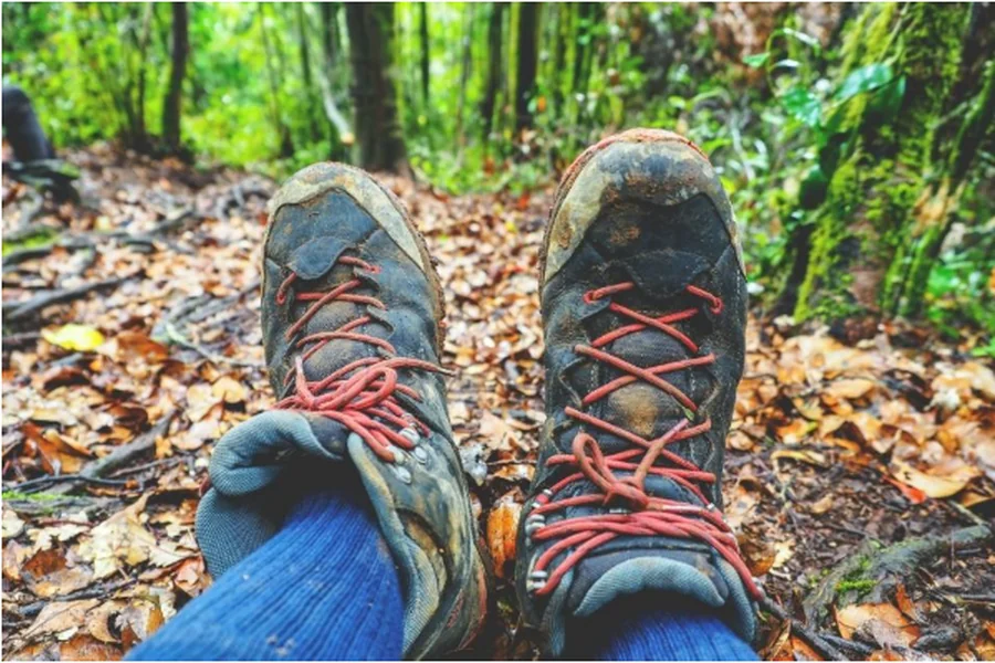 Trekking Shoes