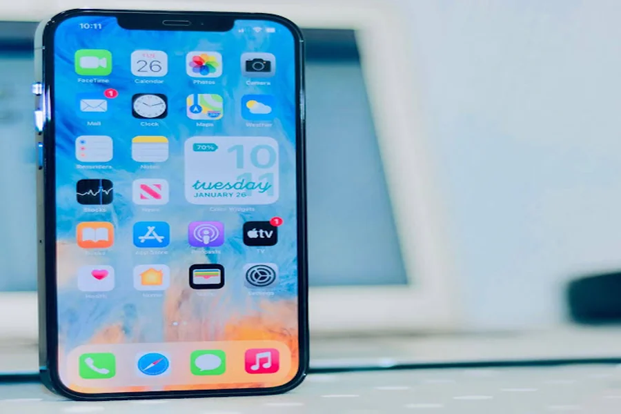 Cloning Your Creative Voice