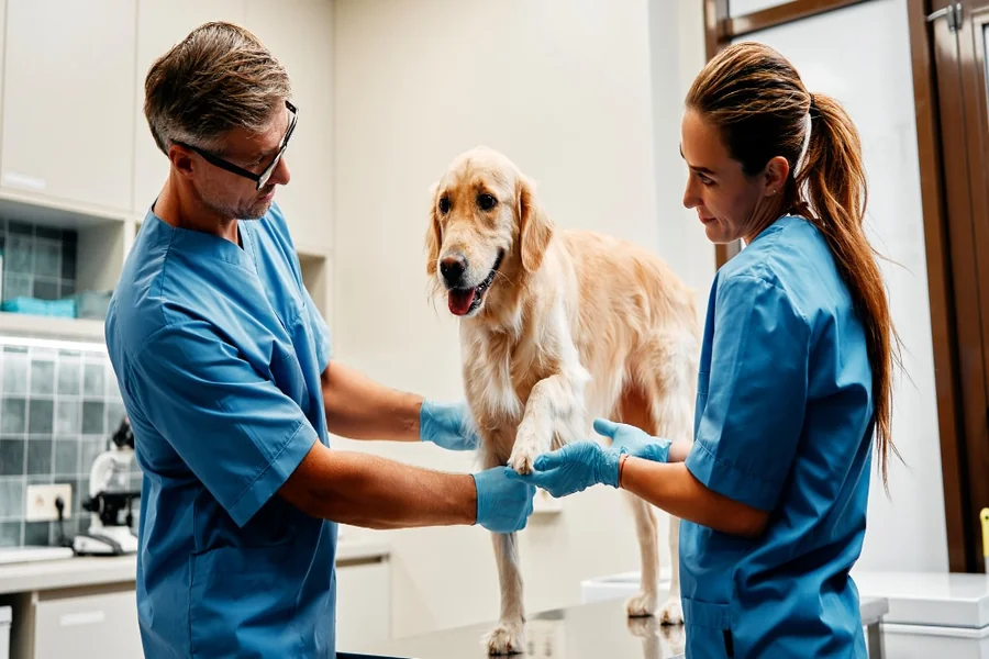 Veterinary