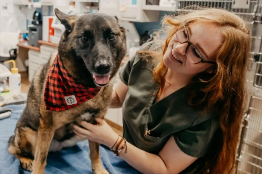 Animal Clinic