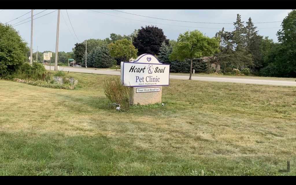 Cat Clinics