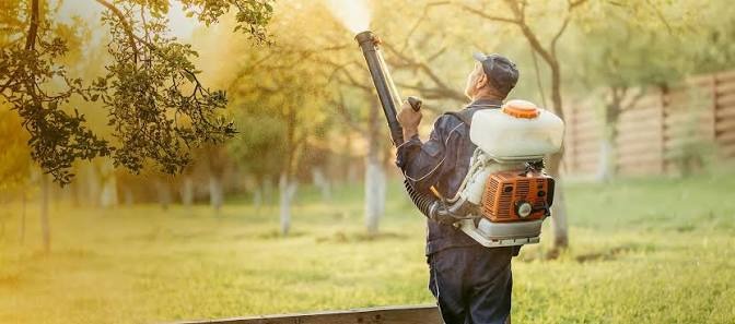 pest control