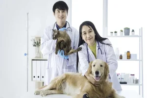 Animal Hospitals