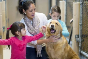 Animal Hospitals