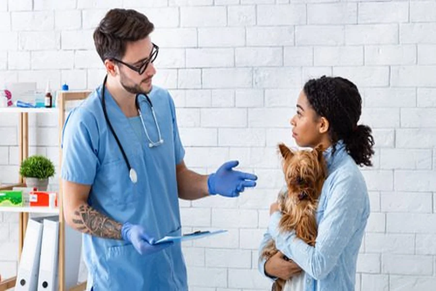 Vet Clinics