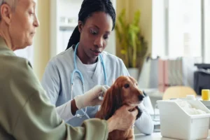 Pet Health
