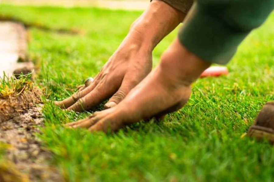 Lawn Care